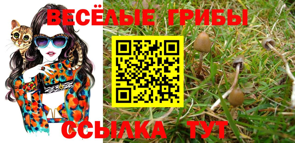 Октябрьский  Псилоцибиновые грибы Psilocybine cubensis  Вход с VPN 